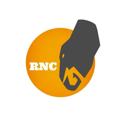 Radici nel cemento